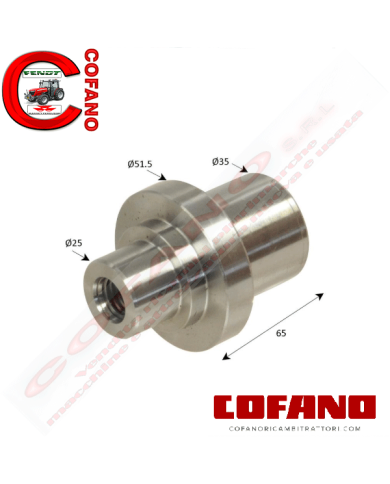 Perno fusello assale a snodo Agco 3429586M1 Landini MF