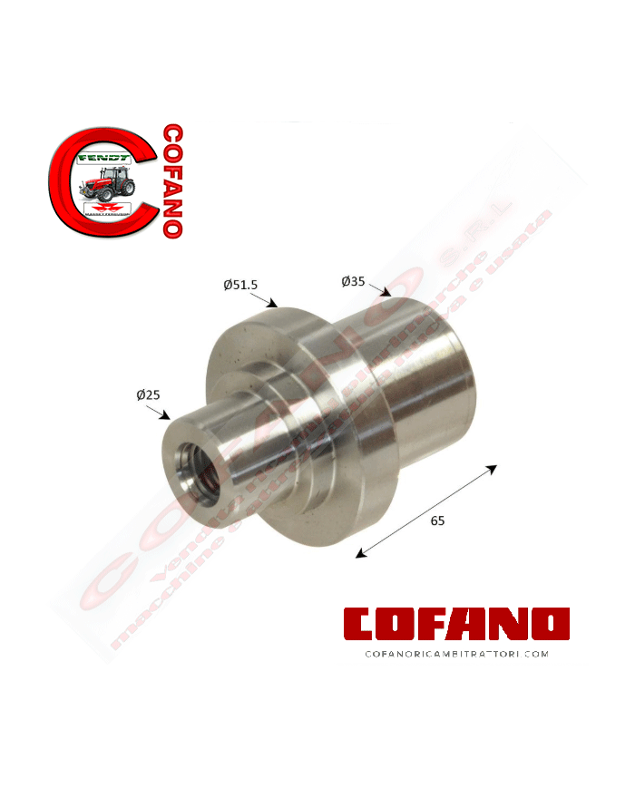 Perno fusello assale a snodo Agco 3429586M1 Landini MF