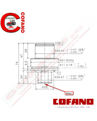 Perno fusello 3427425M2 Spicer Dana