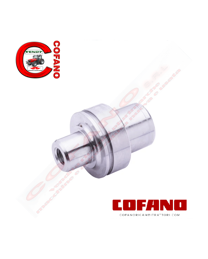 Perno fusello 3427425M2 Spicer Dana