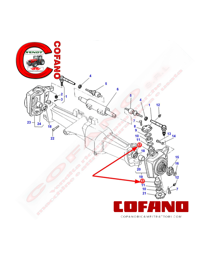 Perno a snodo assale anteriore Agco 3429319M1