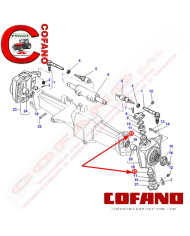 Perno a snodo assale anteriore Agco 3429319M1