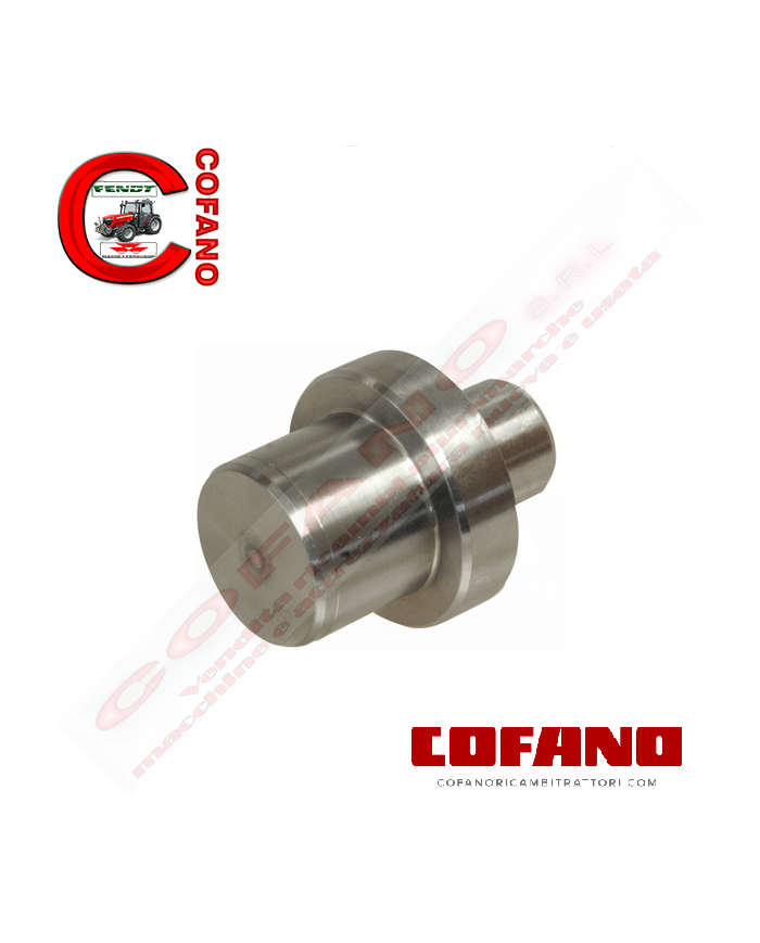 Perno a snodo assale anteriore Agco 3429319M1