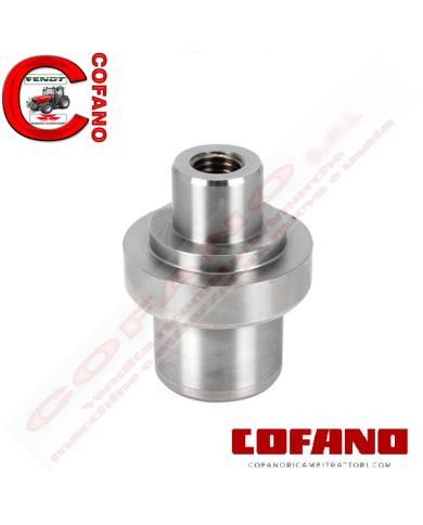 Perno a snodo assale anteriore Agco 3429319M1