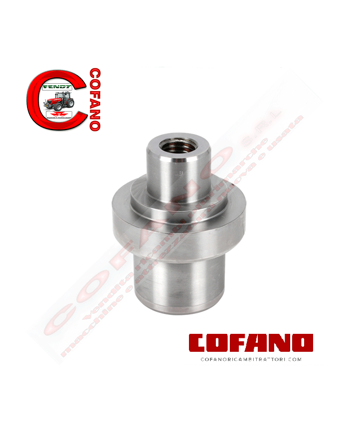 Perno a snodo assale anteriore Agco 3429319M1