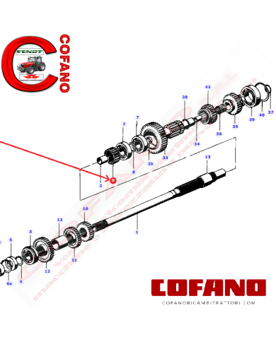 3302346M1 Ingranaggio cambio Z21 Landini Massey Ferguson 6030DTF 174DTF