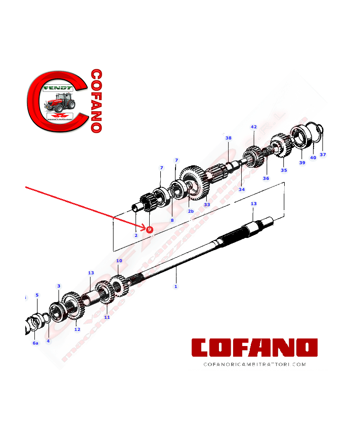 3302346M1 Ingranaggio cambio Z21 Landini Massey Ferguson 6030DTF 174DTF