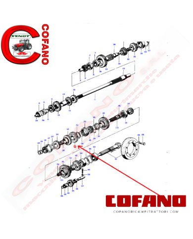 3302350M1 ingranaggio Z31 cambio Landini Massey Ferguson 6030DTF 174DTF 6530