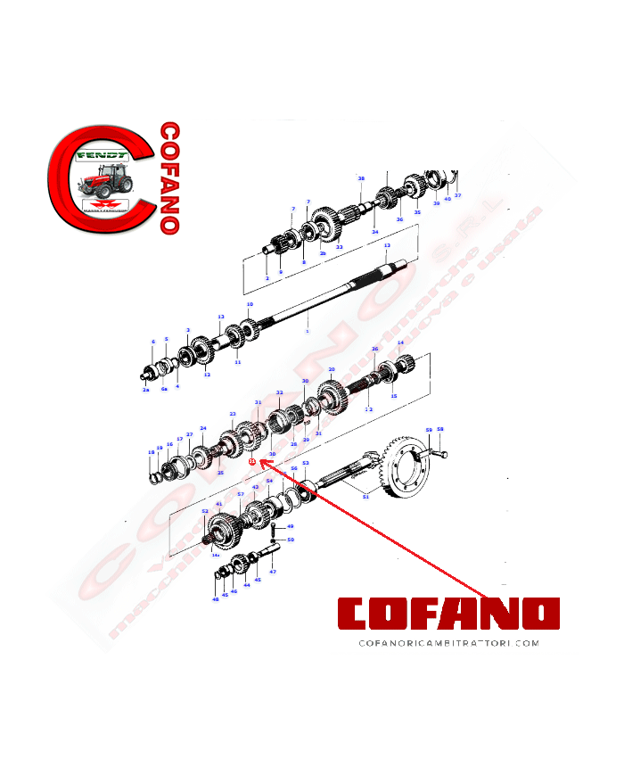 3302350M1 ingranaggio Z31 cambio Landini Massey Ferguson 6030DTF 174DTF 6530