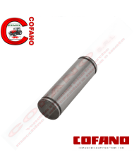 Perno ingranaggio 1868115M1