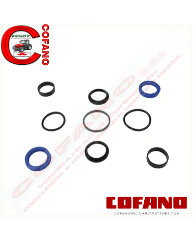 Kit guarnizioni cilindro sterzo Landini