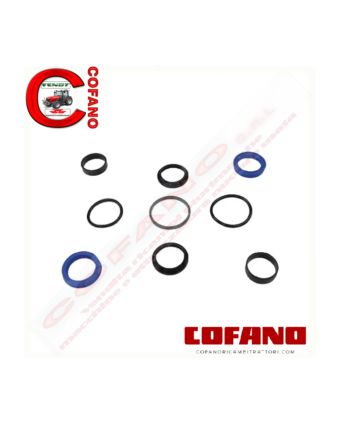 Kit guarnizioni cilindro sterzo Landini