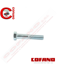 Kit 6 pz. Bullone frizione 5/16''x1-3/4''