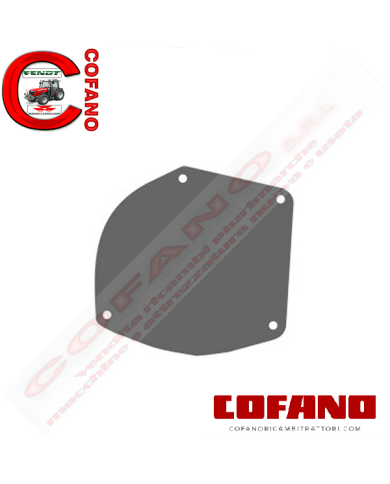 Piastra posteriore pompa dell'acqua 732646M1