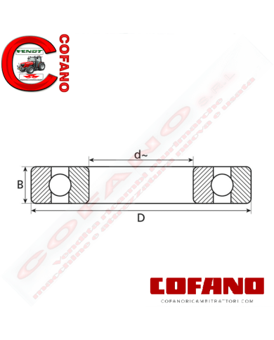 Cuscinetto radiale a sfere (RMS9) 2-13/16