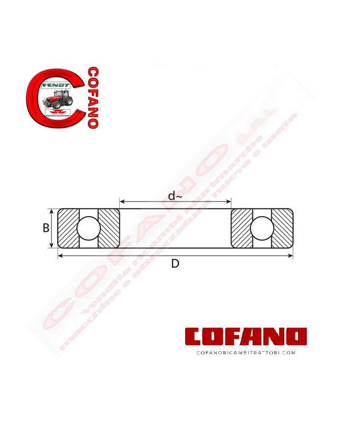 Cuscinetto radiale a sfere (RMS9) 2-13/16