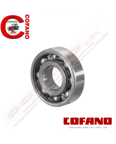 Cuscinetto radiale a sfere (RMS9) 2-13/16