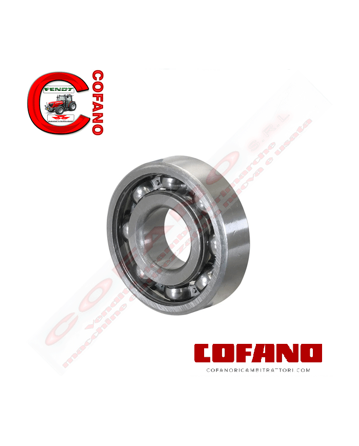 Cuscinetto radiale a sfere (RMS9) 2-13/16
