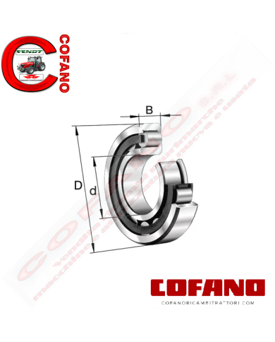 Cuscinetto a rulli cilindrici 30x62x16 mm