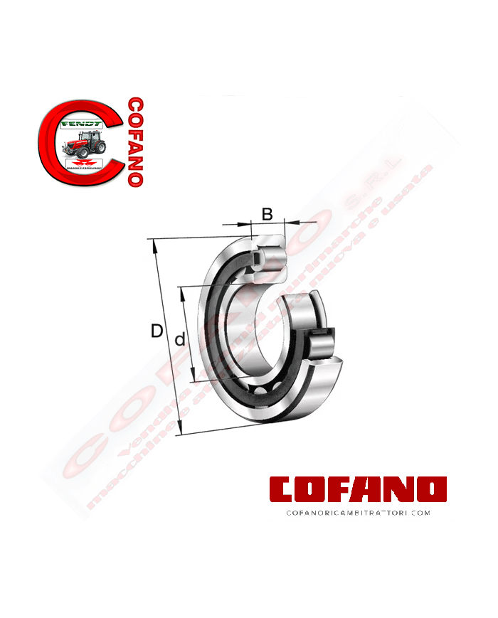 Cuscinetto a rulli cilindrici 30x62x16 mm