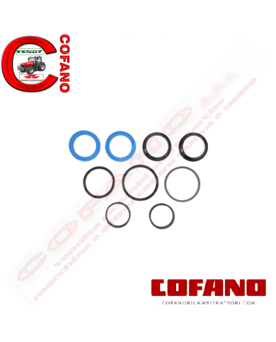 Kit guarnizioni cilindro sterzo Landini
