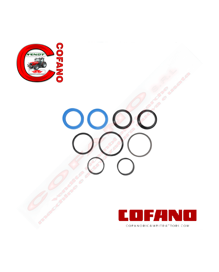 Kit guarnizioni cilindro sterzo Landini