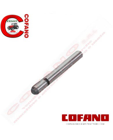 Perno frizione 3.8mm x 70mm
