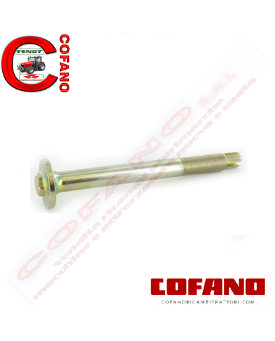 Bullone albero sollevatore idraulico