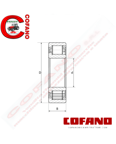 Cuscinetto a rulli cilindrici 55x100x21 mm
