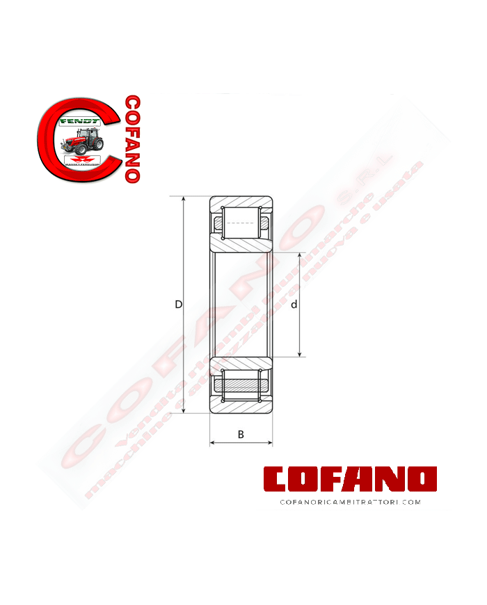 Cuscinetto a rulli cilindrici 55x100x21 mm