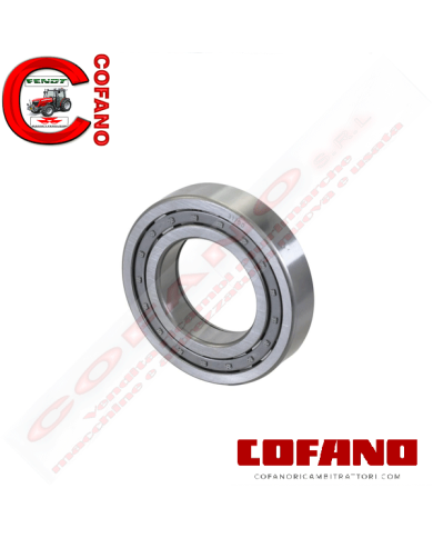 Cuscinetto a rulli cilindrici 55x100x21 mm