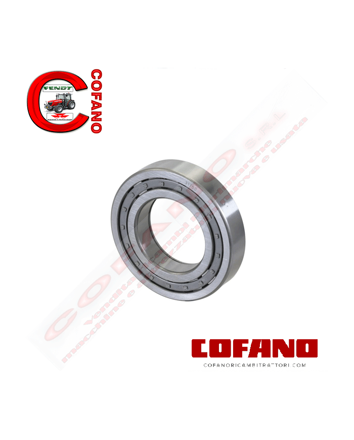Cuscinetto a rulli cilindrici 55x100x21 mm